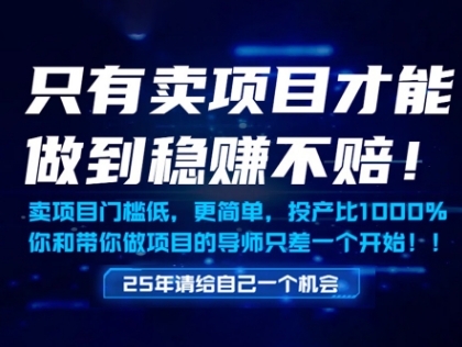 只有卖项目才能做到稳挣不赔,门槛低,更简单,你也可以年入百个W【揭秘】-朽念云创