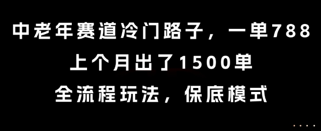 中老年赛道冷门路子，一单788，上个月出了1500单，全流程玩法，保底模式【揭秘】-朽念云创