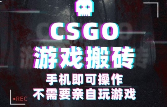 CSGO游戏挂G捡漏，单日扫货5张+，年底小高峰上车可吃肉，手机即可操作，兼职副业创业网创【揭秘】-朽念云创
