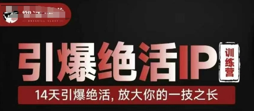 引爆绝活IP训练营，14天引爆绝活，放大你的一技之长-朽念云创