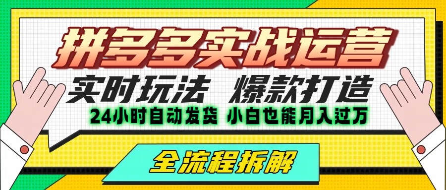 拼多多最新实战运营高投产：长久稳定项目，单店利润一天三位数-朽念云创