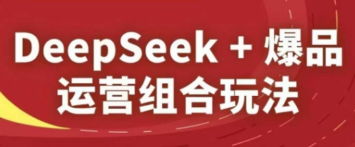 DeepSeek+爆品运营组合玩法，2025淘系精品课-朽念云创