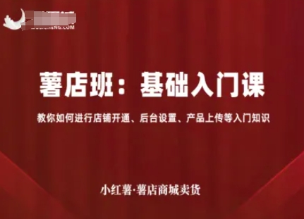 小红薯薯店商城卖货,基础入门课,教你如何进行店铺开通、后台设置、产品上传等入门知识-朽念云创