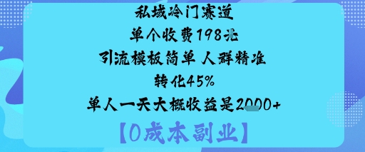 私域冷门赛道:单个收费198米引流模板简单人群精准转化45%单人一天大概收益是1k+-朽念云创
