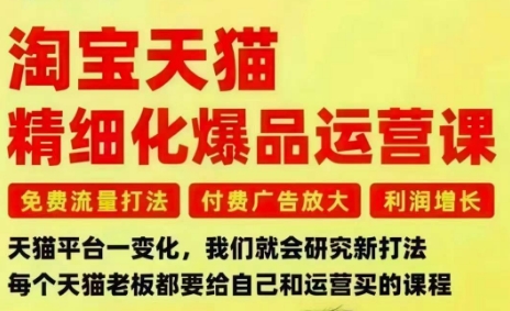 淘宝天猫精细化爆品运营课，免费流量打法-付费广告放大-利润增长-三大核心痛点，一次全部解决-朽念云创