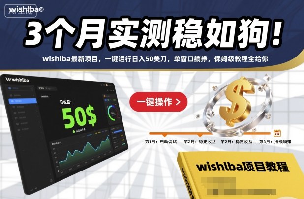 3个月实测稳如狗！wishlba最新项目，一键运行日入50美刀，单窗口躺挣，保姆级教程全给你【揭秘】-朽念云创