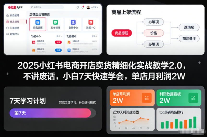 2025小红书电商开店卖货精细化实战教学2.0，不讲废话，小白7天快速学会，单店月利润2W-朽念云创