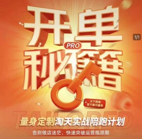 淘宝开单秘籍PRO，量身定制淘天实战陪跑计划，告别做店迷茫、快速突破运营瓶颈期(更新)-朽念云创