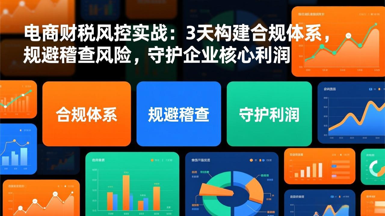 电商财税风控实战：3天构建合规体系，规避稽查风险，守护企业核心利润-朽念云创