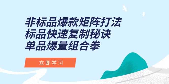 非标品爆款矩阵打法，标品快速复制秘诀，单品爆量组合拳-朽念云创
