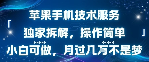 苹果手机技术服务,独家拆解,操作简单,小白可做,月过1W不是梦-朽念云创