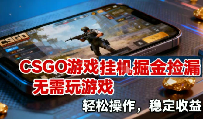CSGO游戏挂G掘金捡漏，不需要玩游戏，操作简单，收益稳定【揭秘】-朽念云创