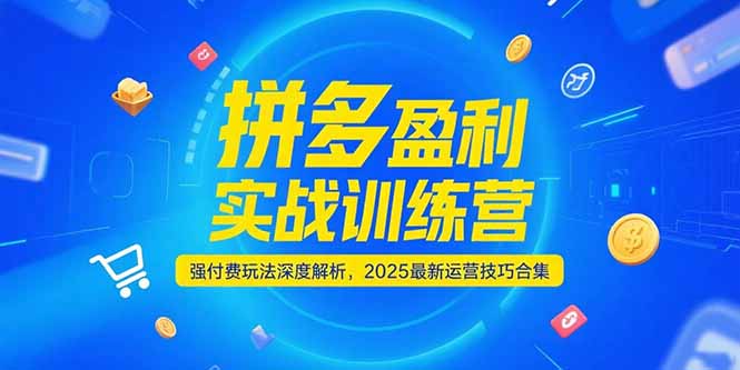 拼多多盈利实战训练营，强付费玩法深度解析，2025运营技巧合集-更新6月-朽念云创