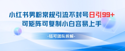 小红书男粉常规引流不封号日引99+变现简单 可矩阵可复制小白容易上手-朽念云创