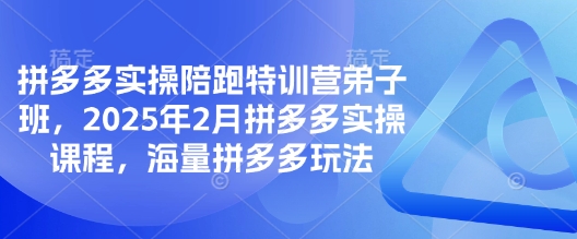 拼多多实操陪跑特训营弟子班，2025年2月拼多多实操课程，海量拼多多玩法-朽念云创