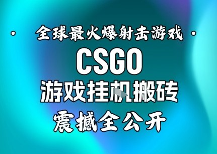 【年底大揭秘】基于全球最火爆的射击CSGO游戏挂G搬砖，日入5张+，震撼公开-朽念云创