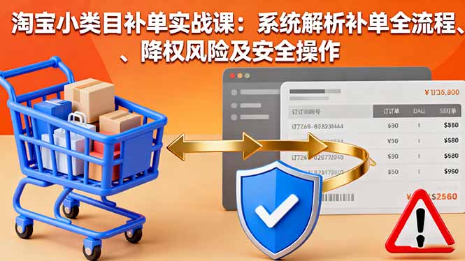 淘宝小类目补单实战课：系统解析补单全流程、降权风险及安全操作-朽念云创