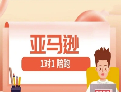 亚马逊1对1陪跑课(FBA/FBM精铺)跨境亚马逊教程-朽念云创