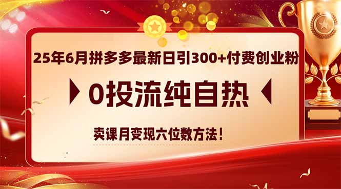 25年6月拼多多最新日引300+付费创业粉，0投流纯自热 卖课月变现六位数方法-朽念云创