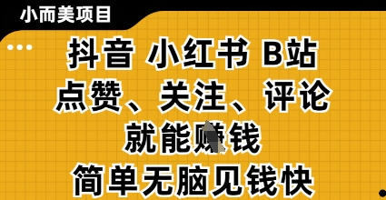 小而美的项目，抖音小红书B站视频点赞、关注、评论就能挣钱，简单无脑立见收益，妥妥的零撸项目【揭秘】-朽念云创