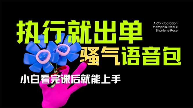 爆火全网的开车导航骚气语音包,只要执行就出单，小白看完课程就能实操...-朽念云创