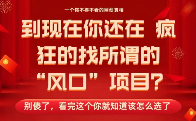 马上26年了，你还在找所谓的风口项目？别傻了，看完这个你全都懂了！【揭秘】-朽念云创