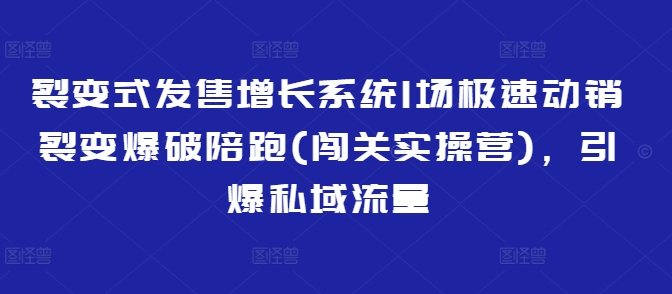 裂变式发售增长系统1场极速动销裂变爆破陪跑(闯关实操营)，引爆私域流量-朽念云创