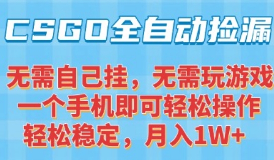 CSGO自动捡漏项目，最新独家玩法，一个手机可操作，新手小白轻松月入1W+，操作简单易上手【揭秘】-朽念云创