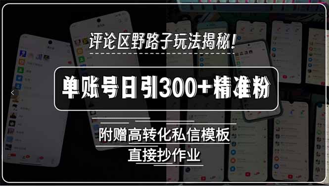评论区野路子玩法揭秘！单账号日引300+精准粉，附赠高转化私信模板，直...-朽念云创
