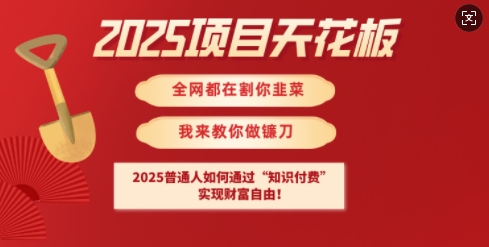 2025项目天花板普通人如何通过知识付费，实现财F自由【揭秘】-朽念云创